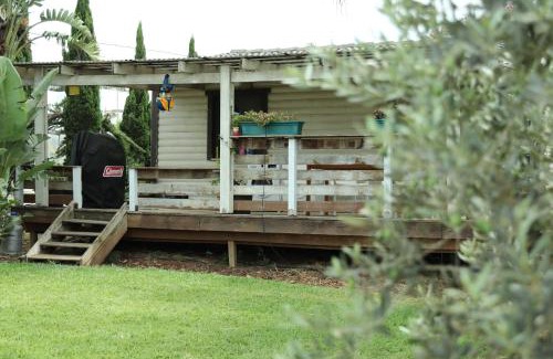 Ramat Tzvi Casa | Workation experience in beautiful village