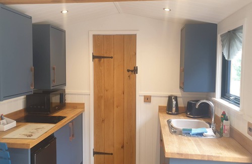 Ely Cabina | Wren - Luxury Shepherd's Hut with Private Hot Tub