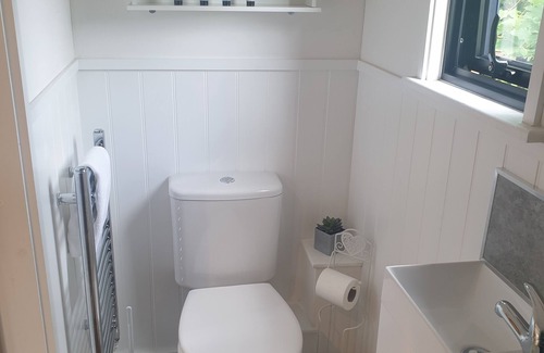Ely Cabina | Wren - Luxury Shepherd's Hut with Private Hot Tub