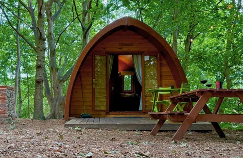West Stow Casa | Wulfrun Pod - in a calm woodland setting- ready for glamping?