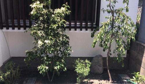 Nakagyo Ward Villa | WUMETEI Japanese-style lodge