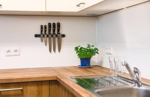 Wels Apartamento | Wunderschönes Apartment im Zentrum von Wels