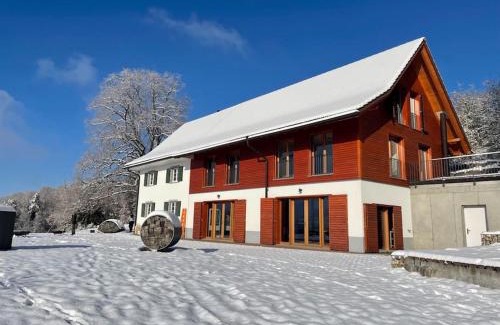 Gempen Apartamento | Wunderschönes Gästehaus mit grandioser Aussicht