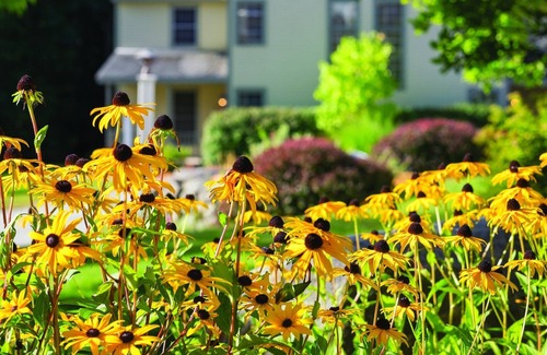 Francestown Condominio | Wyndham Crotched Mountain Resort - Huge 2 Bedroom