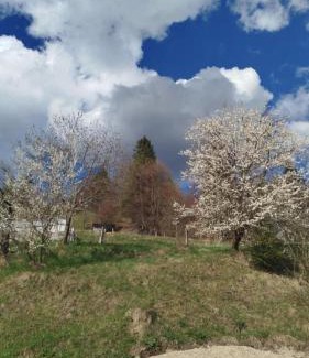 Ochotnica Dolna Casa | Wypoczynek pod Gorcem
