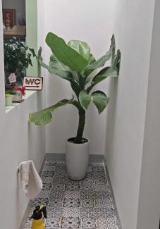 Pleiku Apartamento | Xù Homestay