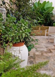 Trepuzzi Casa | Xenia Boutique Apartment