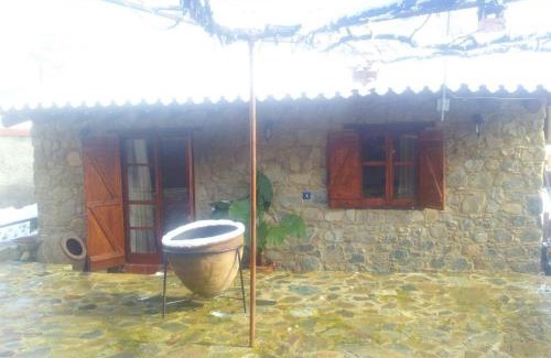 Galata Casa | Xenis House