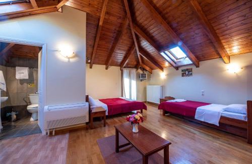 Central Tzoumerka Apartamento | Xenonas Kypseli