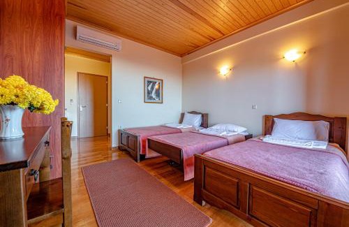 Central Tzoumerka Apartamento | Xenonas Kypseli
