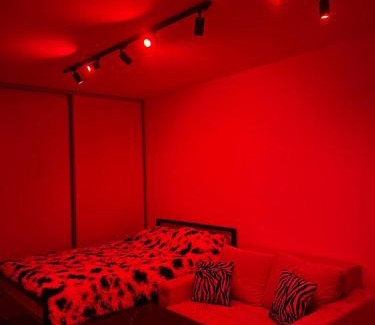 Zvezdara Apartamento | Y apartman Zvezdara