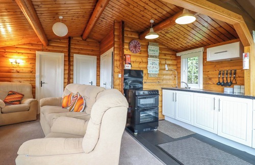 Bronaber Cabaña | Y BWTHYN PREN, CABIN 209,, pet friendly in Trawsfynydd