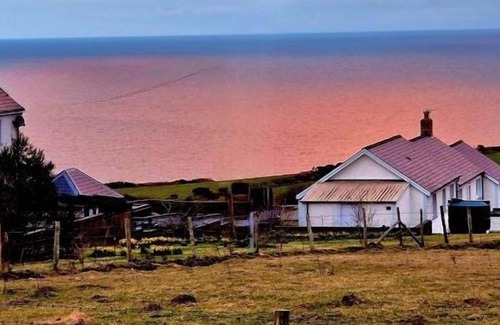 Felinwynt Cabaña | Y Heddfan - 1 Bedroomed Cottage With Stunning Sea Views