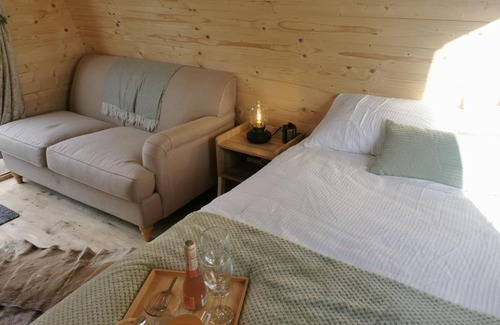 Bridgend Otro | Y Nyth - The nest