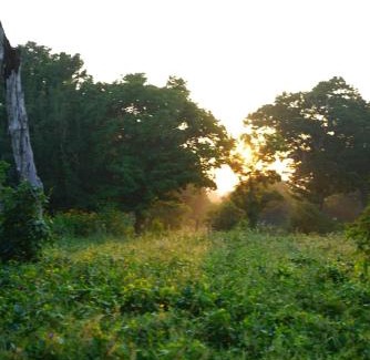 Palatupana Otro | Yala Wild House
