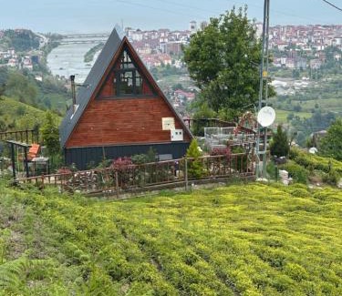 Ardesen Cabina | Yamaçdere Bungalov