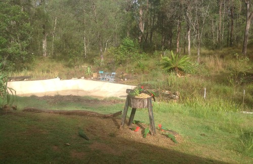 Gurranang Casa | Yamba Hinterland bush retreat - hermoso autobús