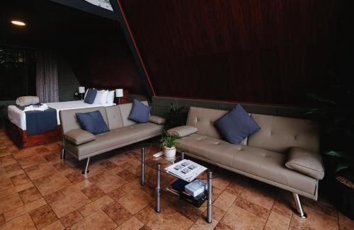 Bijagua Chalet De Esquí | Yarumo Lodge, Río Celeste Black Chalets