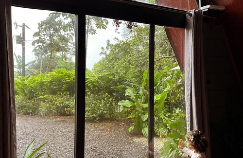 Bijagua Chalet De Esquí | Yarumo Lodge Río Celeste Black Chalets