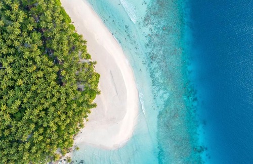 Rinbudhoo Complejo | Yash Nature Resort, Maldives