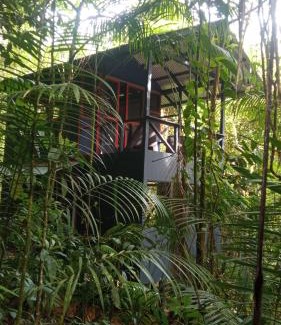 Las Horquetas Cabina | Yatama Rainforest Ecolodge