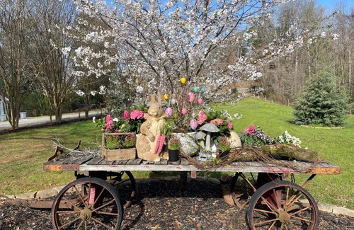 Dahlonega Cama Y Desayuno | Yellow Daisy Bed and Breakfast