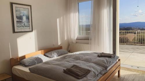 Metlika Apartamento | Yellow House Grabrovec