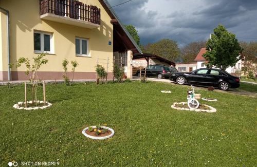Irinovac Apartamento | Yellow Rose