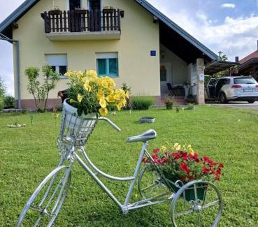 Irinovac Apartamento | Yellow Rose