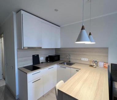 Nur-Sultan Apartamento | Yes, apartments in the apart-hotel near the botanical garden