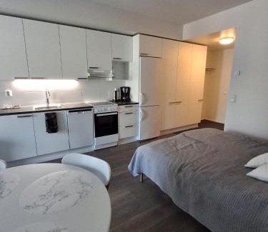 Espoo Apartamento | Yksiö
