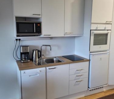 Sundsberg Apartamento | Yksiö Sarvvikissa