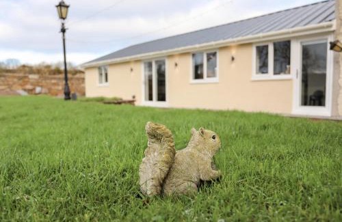 Brynteg Casa | Ynys Uchaf