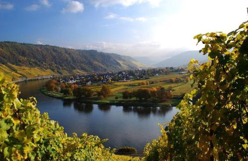 Traben-Trarbach Apartamento | York Cottage Garden