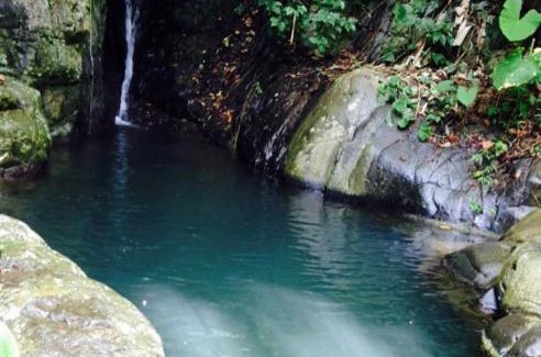 Jayuya Otro | You Home Camping