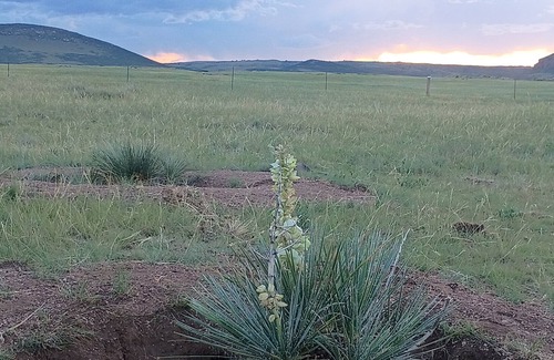Granite Canon Alquiler De RV | Your Claim for Frontier Days. The West, Uncrowded.
