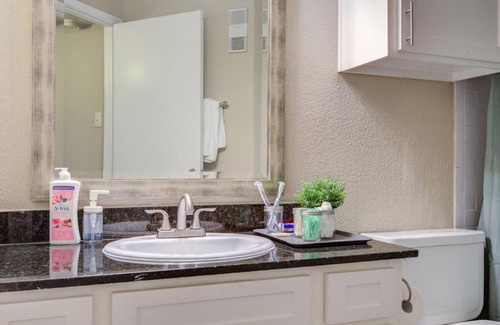 Astrodome Apartamento | Your Luxurious Getaway in TX Medical Center