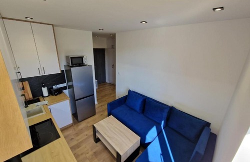 Debica Apartamento | YourSecondFlat Sobieski Apartment