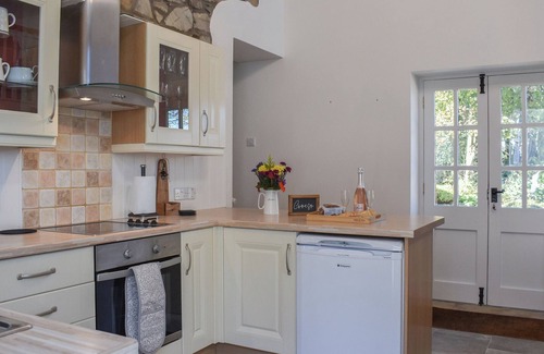 Felinfach Cabaña | Ysgubor Blaenparc Barn - UK41030