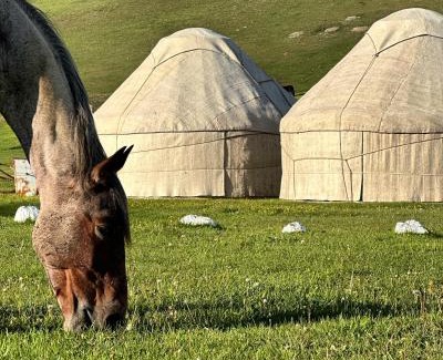 Song-Kul Otro | Yurt camp Asman at Song Kol lake
