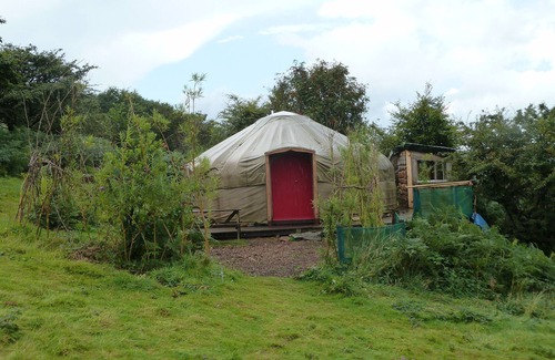 Callington Cabina | Yurta {20 pies de diámetro} con casa de baños en East Cornwall Reino Unido - 5 * ubicación fuera de la red