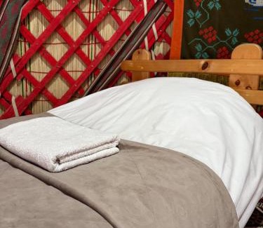 Karakol Cama Y Desayuno | Yurt stay in downtown