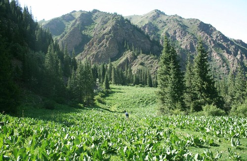 Naryn Region Casa | Yurt Town Usonbak Salkyn-Tor