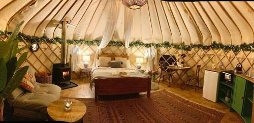 Ripon Otro | Yurtshire Eavestone Lake - Beech
