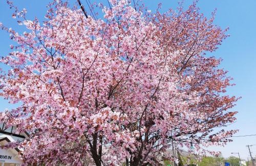 Noboribetsu Apartamento | YUUYU Noboribetsu Onsen, Bear Ranch, Date Jidai Mura