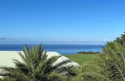 Saint-Claude Apartamento | Zabana Lodge, dans un jardin tropical avec piscine