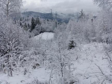 Slavske Cabina | Zacharovany Karpaty