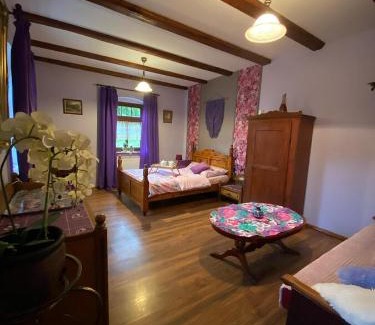 Mirsk Casa | Zagroda AlpakoTerapii
