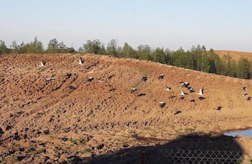 Szypliszki Casa | Zagroda z Antonówką