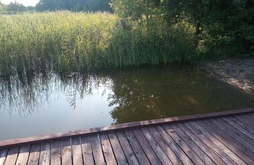 Barczewo Casa | Zalesie z pomostem I